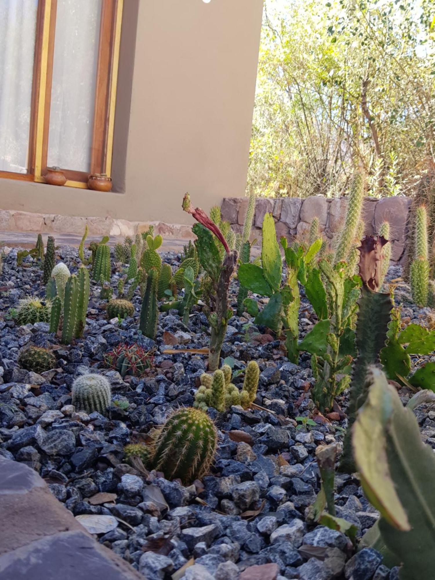 Tierra Primitiva Apartment Tilcara Luaran gambar