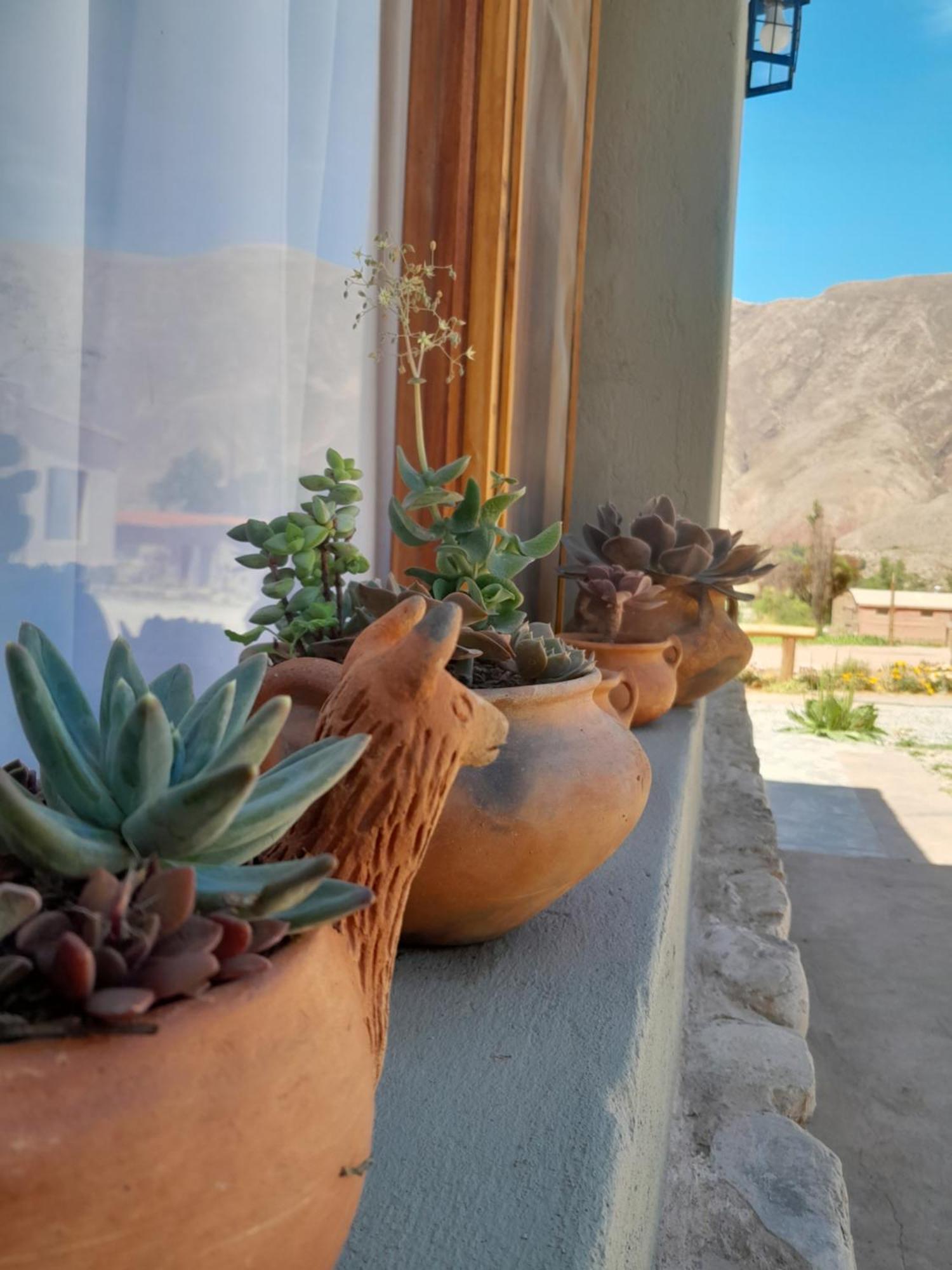 Tierra Primitiva Apartment Tilcara Luaran gambar