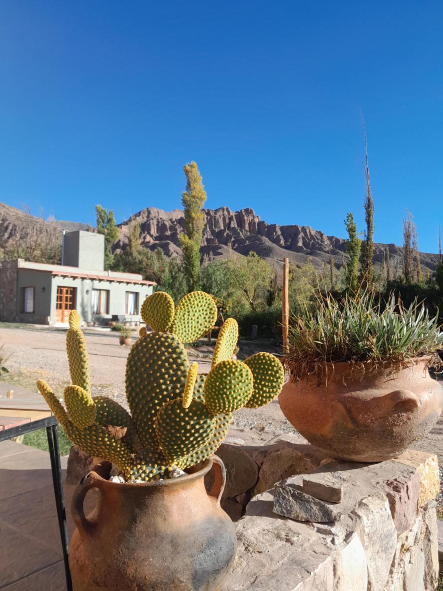 Tierra Primitiva Apartment Tilcara Luaran gambar